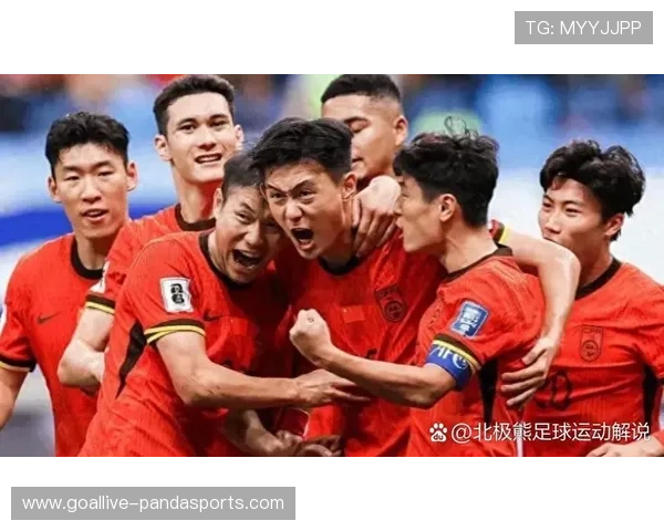 足球巨星风采展现：聚焦球场英雄背后的拼搏与荣耀